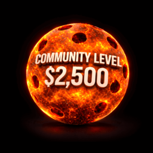 LA HEAT SPONSORSHIP LEVELS COMMUNITY $2500