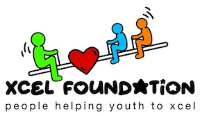 Xcel Logo sml LA Heat Corporate Silver Sponsor VFE Sports Therapy